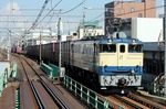 IMG_9447p.jpg