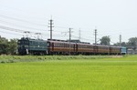 IMG_9465p.jpg