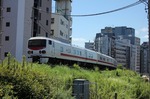 IMG_9585.jpg