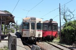 IMG_9696.jpg