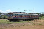 IMG_9709p.jpg