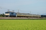 IMG_9765p.jpg