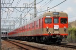 IMG_9905p.jpg