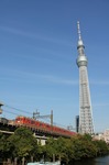 IMG_9921p.jpg