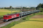 IMG_9964p.jpg